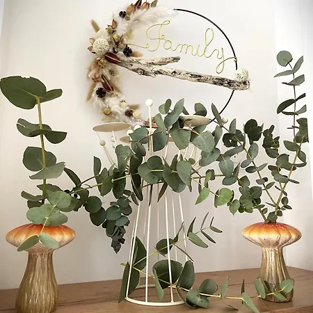 Au Dome De La Basilique Boulogne-sur-Mer